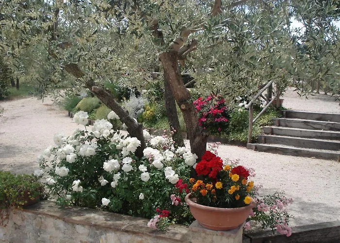 Tenuta Colverano