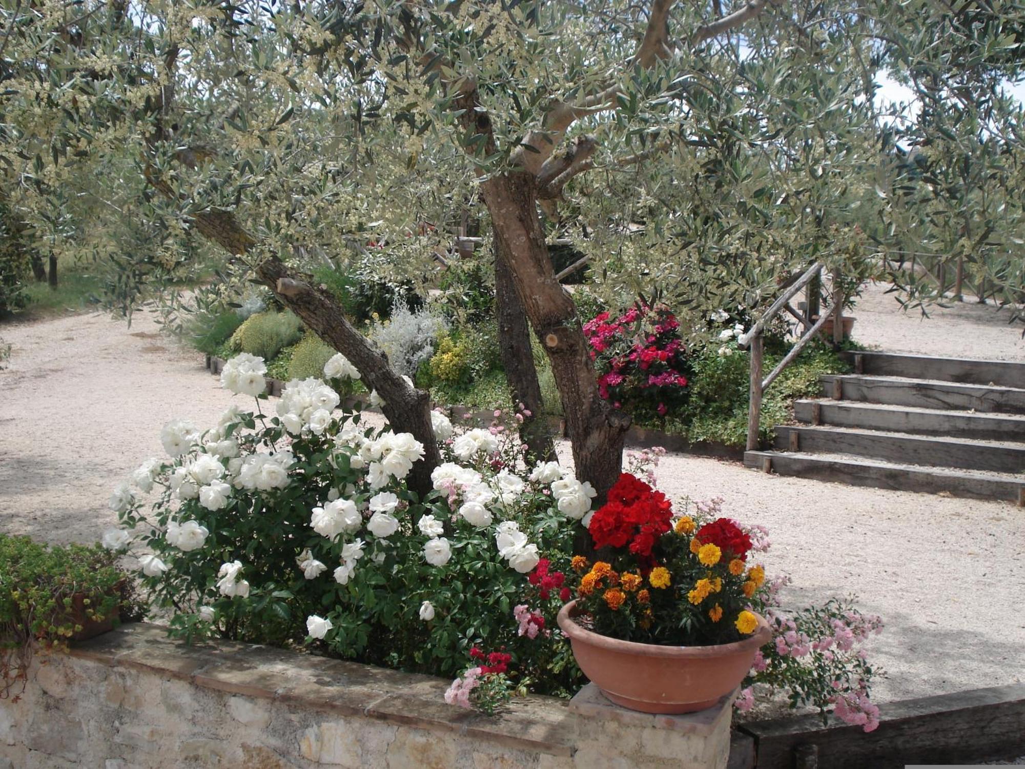 Tenuta Colverano Montefalco