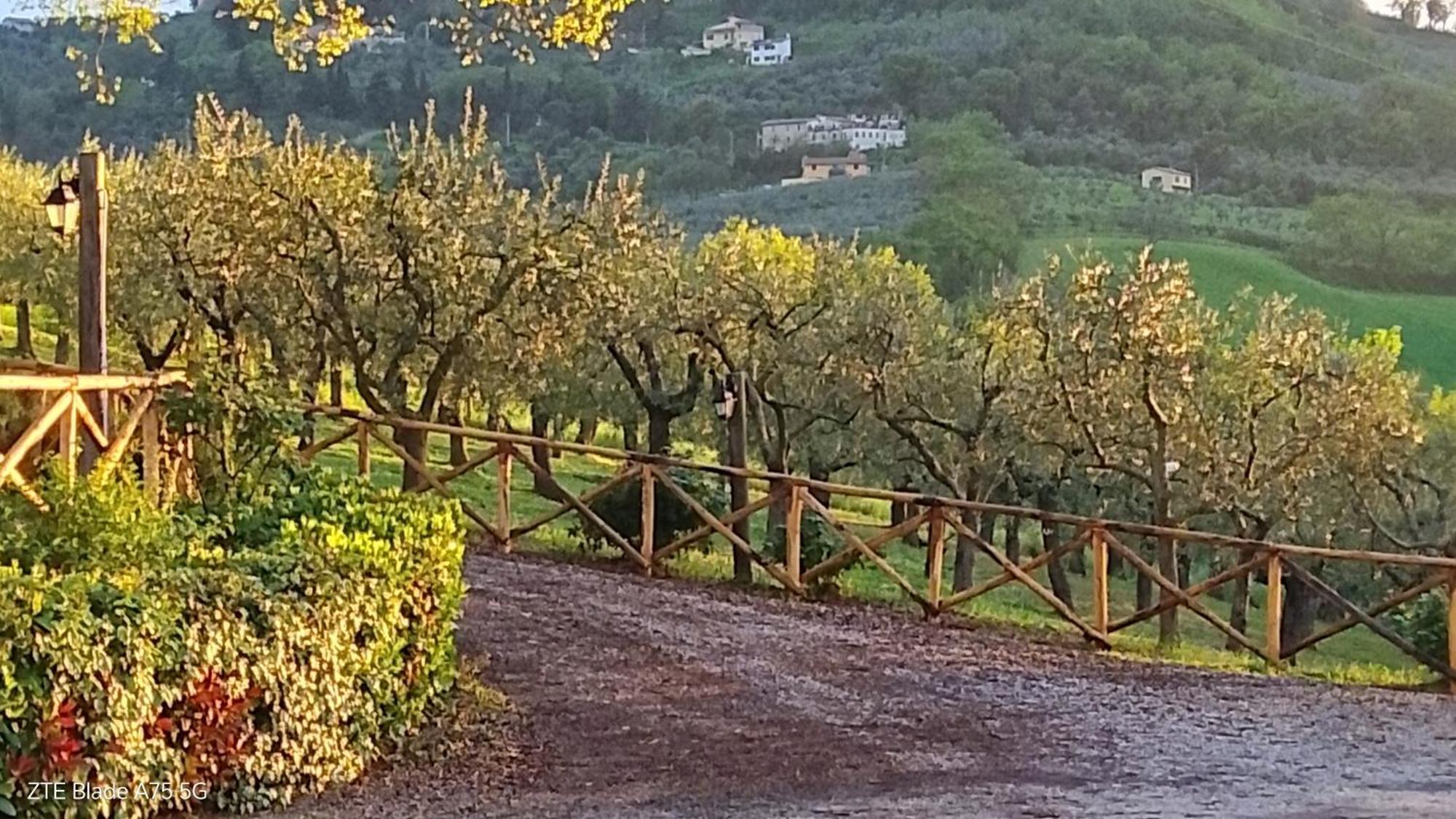 Tenuta Colverano Séjour à la campagne Montefalco