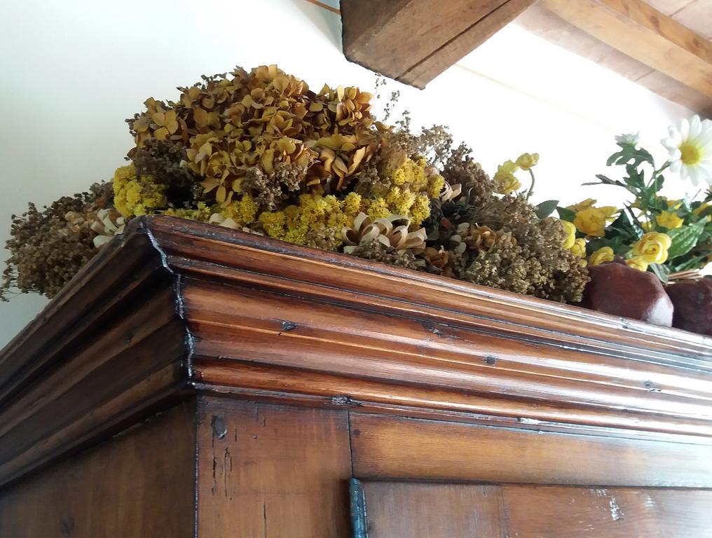 Tenuta Colverano Séjour à la campagne