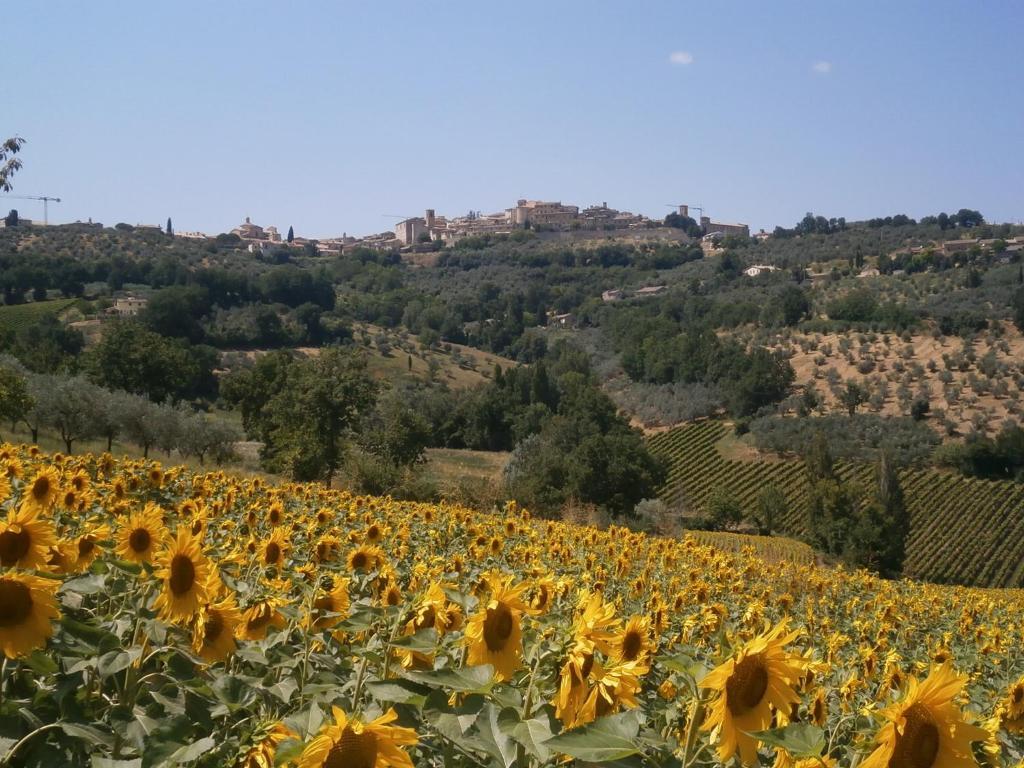 Tenuta Colverano Séjour à la campagne