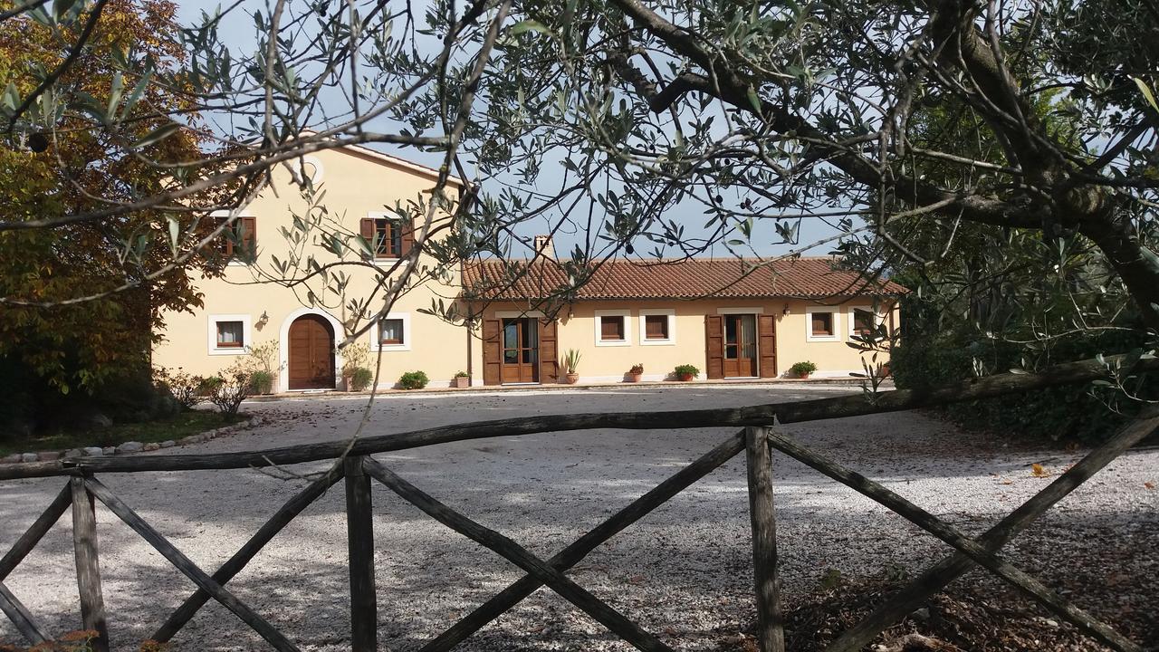 Tenuta Colverano * Montefalco