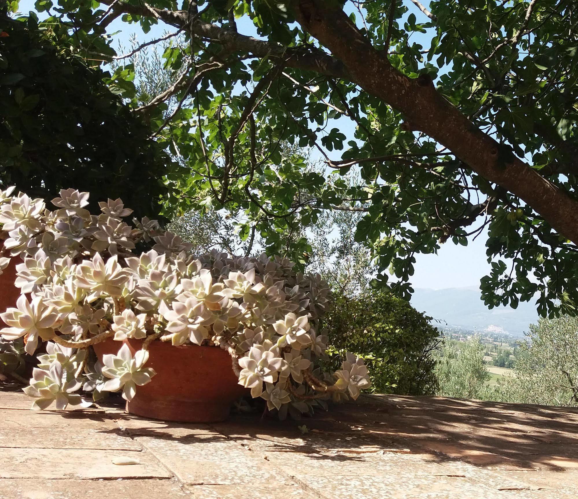 Tenuta Colverano Séjour à la campagne Montefalco