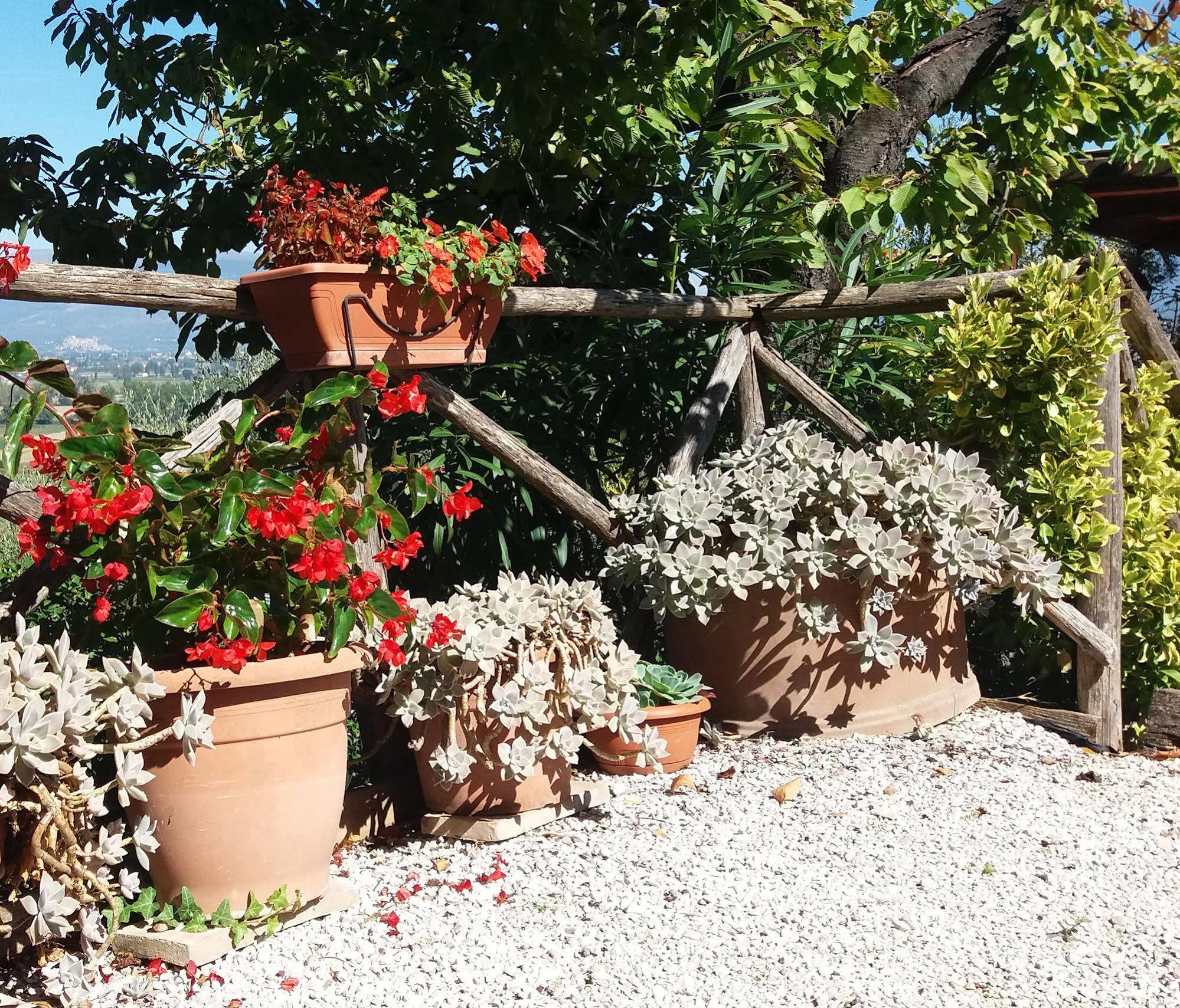 Tenuta Colverano *