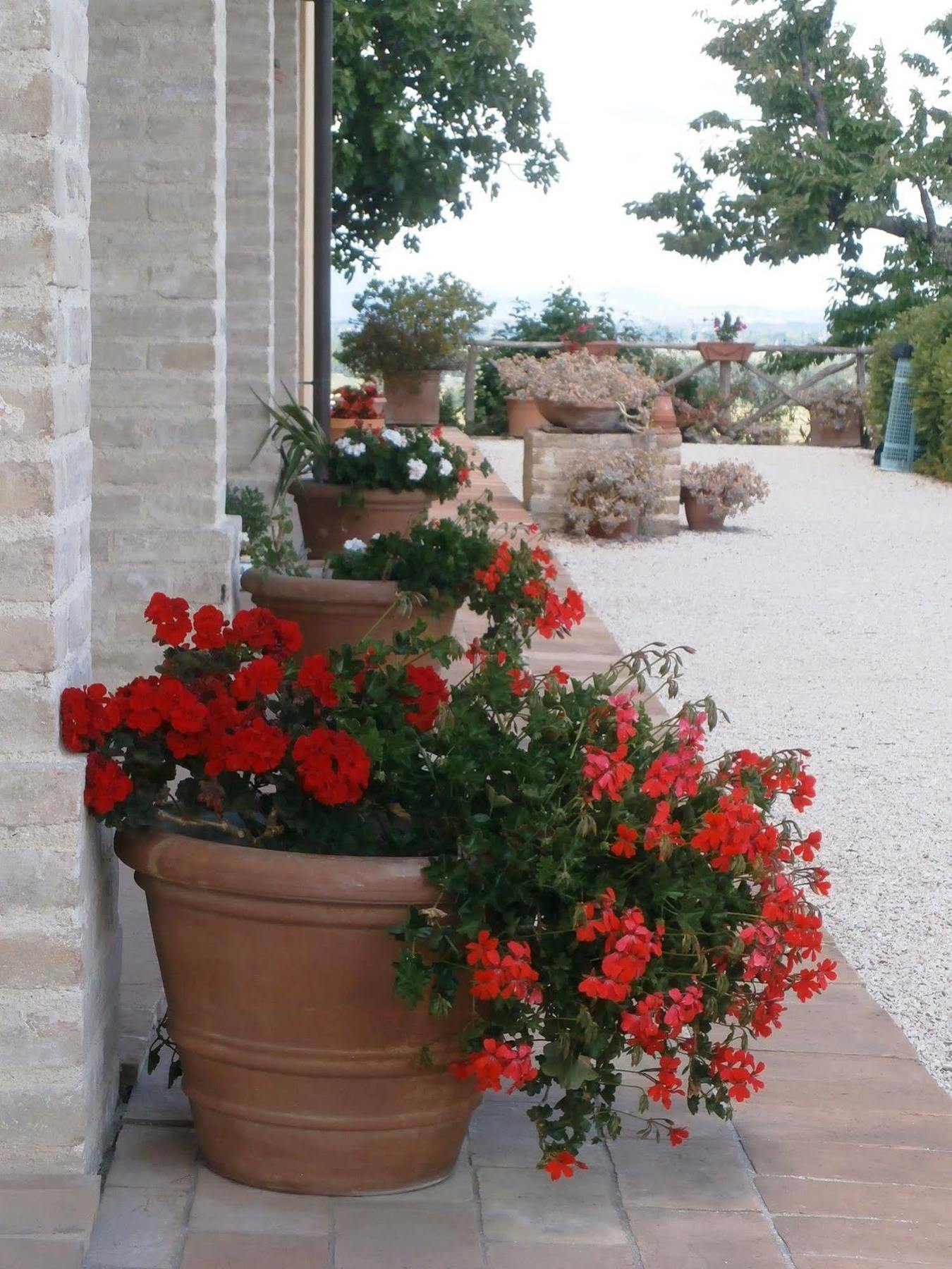 Tenuta Colverano Landhaus *