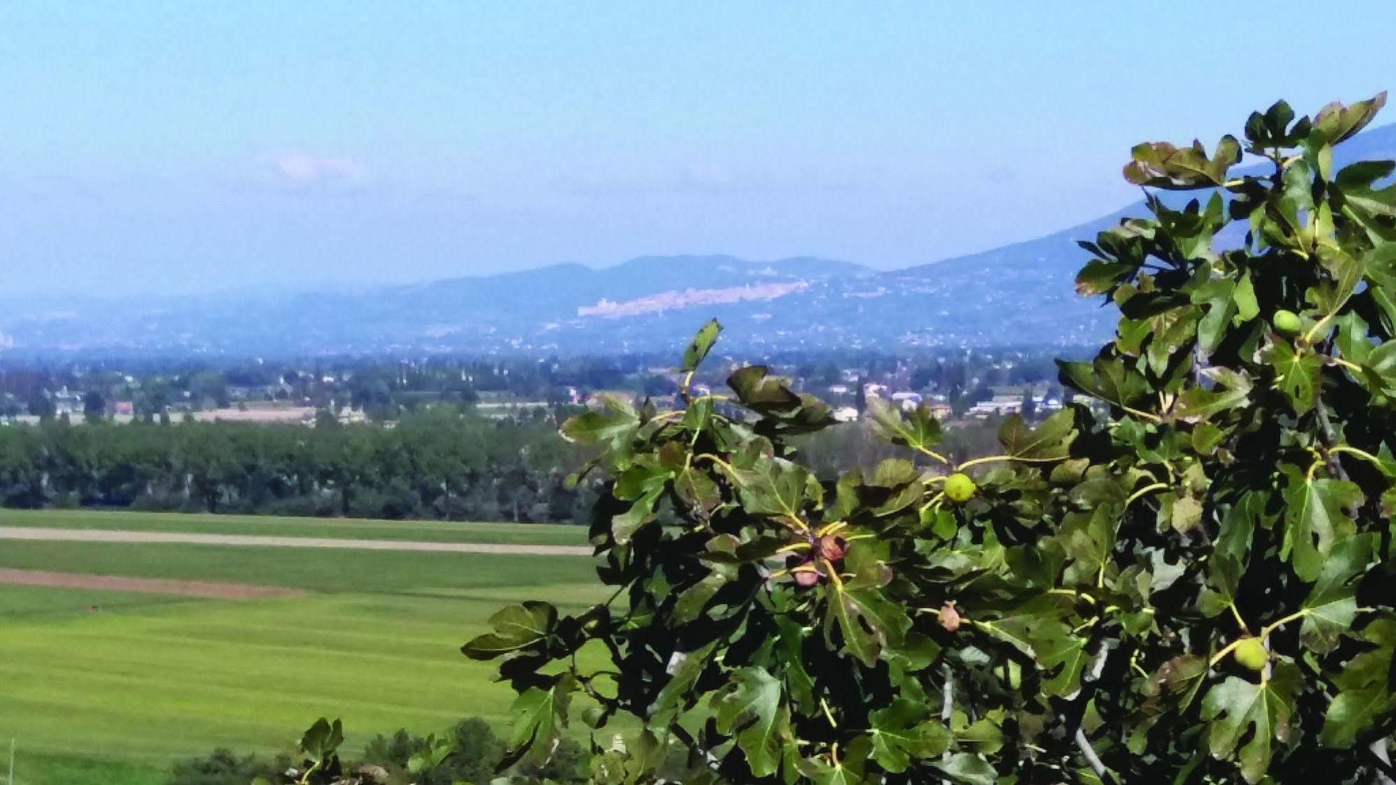 Séjour à la campagne Tenuta Colverano Montefalco