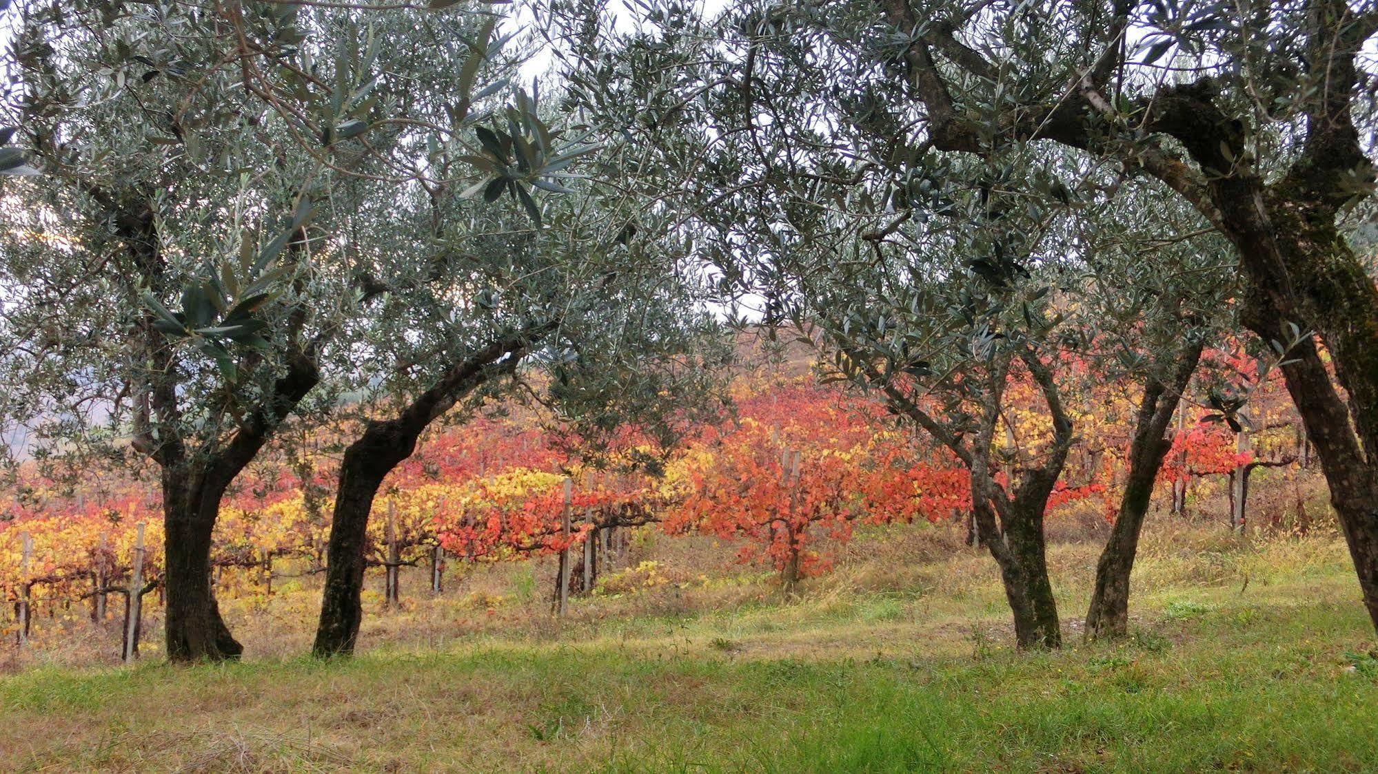 Tenuta Colverano Landhaus Montefalco
