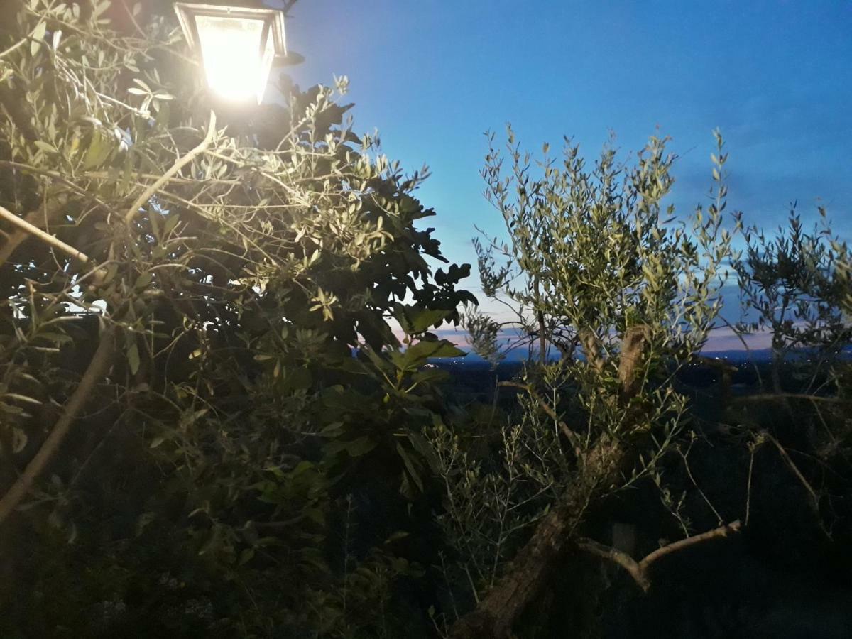 Tenuta Colverano Landhaus *