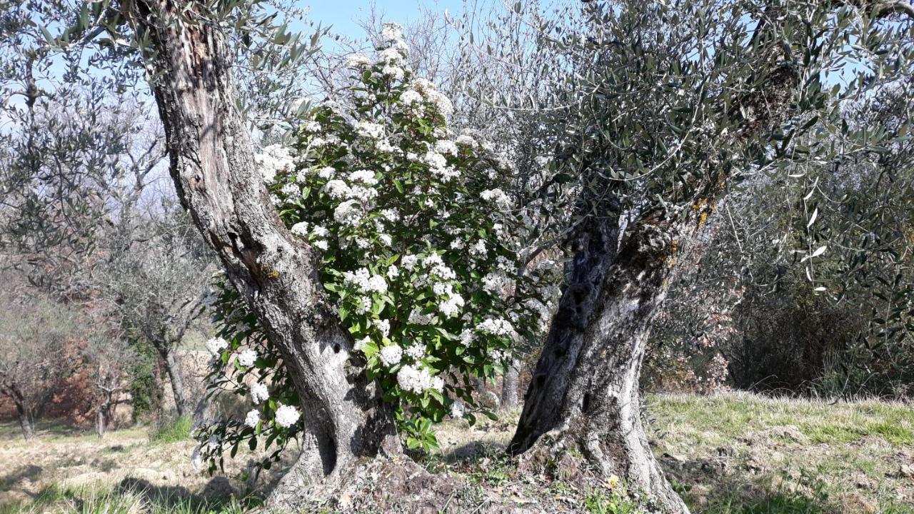 Tenuta Colverano Séjour à la campagne